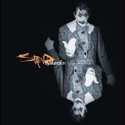 The lyrics EXCESS BAGGAGE of STAIND is also present in the album Dysfunction (1999)