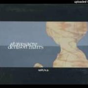 Stavesacre / denison marrs split