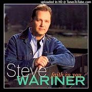 The lyrics BLOODLINES of STEVE WARINER is also present in the album Faith in you (2000)