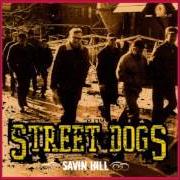 Street dogs