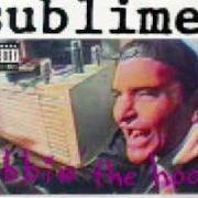 The lyrics RALEIGH SOLILOQUY PT. III of SUBLIME is also present in the album Robbin the hood (1994)