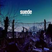 The lyrics ALL THE WILD PLACES of SUEDE is also present in the album The blue hour (2018)