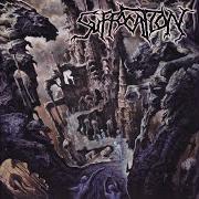 The lyrics TOMES OF ACRIMONY of SUFFOCATION is also present in the album Souls to deny (2004)