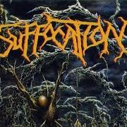 The lyrics PIERCED FROM WITHIN of SUFFOCATION is also present in the album Pierced from within (1995)