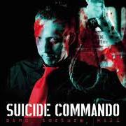 The lyrics CONSPIRACY WITH THE DEVIL of SUICIDE COMMANDO is also present in the album Bind, torture, kill (2006)
