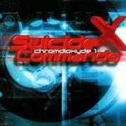 The lyrics REJECTION of SUICIDE COMMANDO is also present in the album Chromdioxyde 1 (1999)