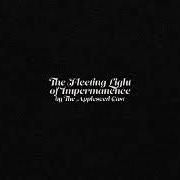 The lyrics COLLISION of THE APPLESEED CAST is also present in the album The fleeting light of impermanence (2019)