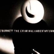 The lyrics IT'S NOT TOO LATE of T-BONE BURNETT is also present in the album The criminal under my own hat (1992)