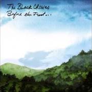 The lyrics THE LAST PLACE THAT LOVES LIVES of THE BLACK CROWES is also present in the album Before the frost...Until the freeze (2009)