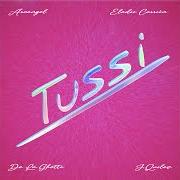 The lyrics TUSSI of ARCANGEL is also present in the album Tussi (2020)