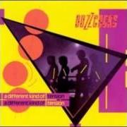 The lyrics I BELIEVE of BUZZCOCKS is also present in the album A different kind of tension (1979)