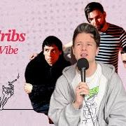 The lyrics NEVER THE SAME of THE CRIBS is also present in the album Selling a vibe (2026)