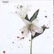 The lyrics DARK ENERGY of THE CULT is also present in the album Hidden city (2016)