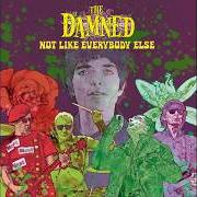 The lyrics WHEN I WAS YOUNG of THE DAMNED is also present in the album Not like everybody else (2026)