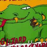 The lyrics V.F.W. of DEAD MILKMEN is also present in the album Big lizard in my backyard (1985)