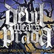 The lyrics ASSISTANT TO THE REGIONAL MANAGER of THE DEVIL WEARS PRADA is also present in the album With roots above and branches below (2009)