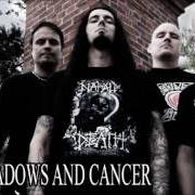 The lyrics SHADOWS AND CANCER of THE DUSKFALL is also present in the album The dying wonders of the world (2007)