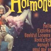 The lyrics LOOSER of THE HORMONAUTS is also present in the album Hormone hop (2001)