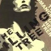 The romance of helen trent