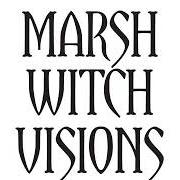 The lyrics NO MORE TEARS of THE MOUNTAIN GOATS is also present in the album Marsh witch visions (2017)