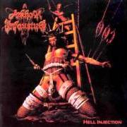 The lyrics THE BLACK SUCCUBUS' WHORES (NUCLEAR VERSION 6.66) of ARKHON INFAUSTUS is also present in the album Hell injection (2001)