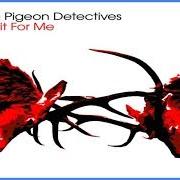 The lyrics YOU KNOW I LOVE YOU of THE PIGEON DETECTIVES is also present in the album Wait for me (2007)