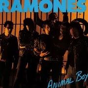 The lyrics SOMEBODY PUT SOMETHING IN MY DRINK of RAMONES is also present in the album Animal boy (1986)