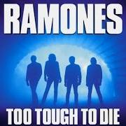 The lyrics DANGER ZONE of RAMONES is also present in the album Too tough to die (1984)