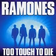 The lyrics TOO TOUGH TO DIE of RAMONES is also present in the album Too tough to die (1984)