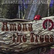 The lyrics A LOTTA THINGS TO DO (REMIX) of ARRESTED DEVELOPMENT is also present in the album Among the trees (2004)
