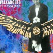 The lyrics STIR THE ASHES of THE WALKABOUTS is also present in the album Scavenger (1990)