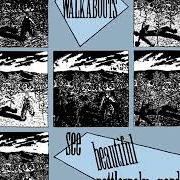 The lyrics BREAKNECK SPEED of THE WALKABOUTS is also present in the album See beautiful rattlesnake gardens (1988)