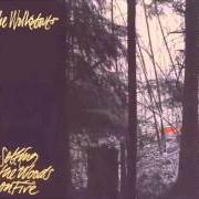 The lyrics FEELING NO PAIN of THE WALKABOUTS is also present in the album Setting the woods of fire (1994)