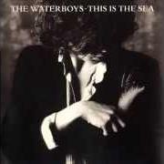 The lyrics THE WHOLE OF THE MOON of THE WATERBOYS is also present in the album The best of the waterboys (1991)
