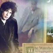The lyrics POLITICS of THE WATERBOYS is also present in the album An appointment with mr. yeats (2013)