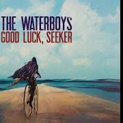 The lyrics FREAK STREET of THE WATERBOYS is also present in the album Good luck, seeker (2020)