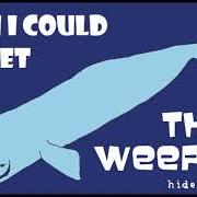 The lyrics ORBITING of THE WEEPIES is also present in the album Hideaway (2008)