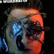 The lyrics ROOTING FOR THE BAD GUY of THE WILDHEARTS is also present in the album The wildhearts (2007)