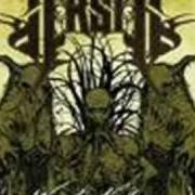 The lyrics PROGRESSIVE ENTRAPMENT of ARSIS is also present in the album We are the nightmare (2008)