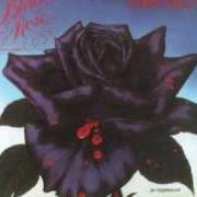 The lyrics ROISIN DUBH (BLACK ROSE): A ROCK LEGEND of THIN LIZZY is also present in the album Black rose: a rock legend (1979)