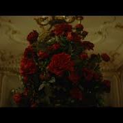 The lyrics IN THE TREES of THOM YORKE is also present in the album Confidenza (music for the film by daniele luchetti) (2024)
