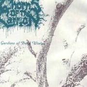 The lyrics WHEN THE SUNLIGHT FADES of THORNS OF THE CARRION is also present in the album The gardens of dead winter (1995)