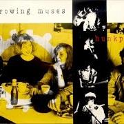 Throwing muses
