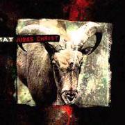 The lyrics SPINE of TIAMAT is also present in the album Judas christ (2002)
