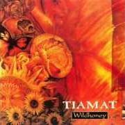 The lyrics A POCKET SIZE SUN of TIAMAT is also present in the album Wildhoney (1994)