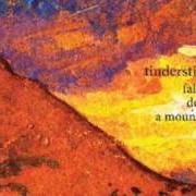 The lyrics TIRED FEET of TINDERSTICKS is also present in the album Falling down a mountain (2010)
