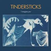 The lyrics A MAN NEEDS A MAID of TINDERSTICKS is also present in the album Distractions (2021)