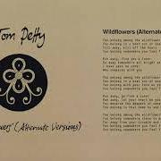 The lyrics HONEY BEE (ALTERNATE VERSION) of TOM PETTY is also present in the album Finding wildflowers (alternate versions) (2021)
