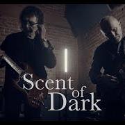 From the dark