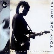 The lyrics DID SOMEBODY MAKE A FOOL OUT OF YOU of TONY JOE WHITE is also present in the album The best of tony joe white (1993)